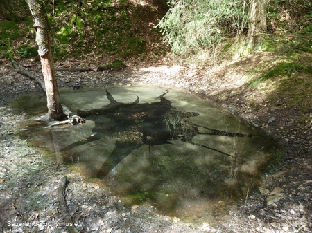 Tümpel im Steinbruch Schinkenkeller