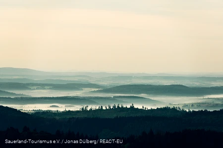Nebel beim Sonnenaufgang am Krutenberg