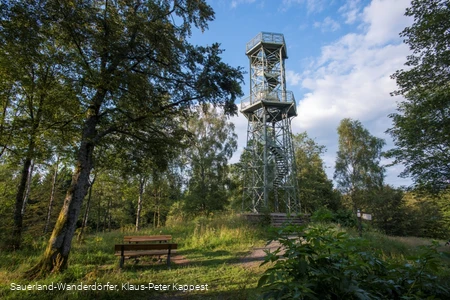 Blick auf den Wilzenberg Turm bei gutem Wetter