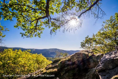 Ausblick vom Rinsleyfelsen bei strahlend blauem Himmel