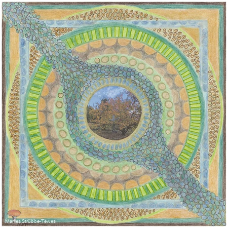 Mandala vom Sauerland-Seelenort Schwarzbachtal.jpg