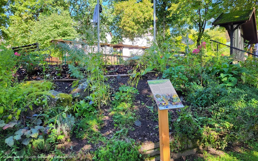 Kräutergarten am Vogelerlebnispfad Medebach-Dreislar