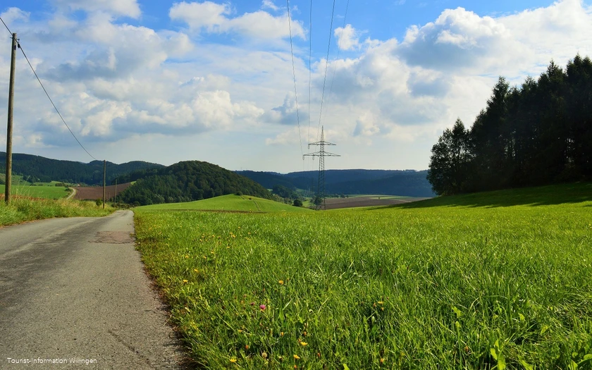 Wiesenlandschaft auf dem Geschichtspfad Welleringhausen