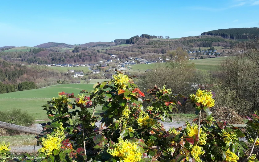 cafe-fernblick-aussicht.jpg cafe-fernblick-aussicht.jpg