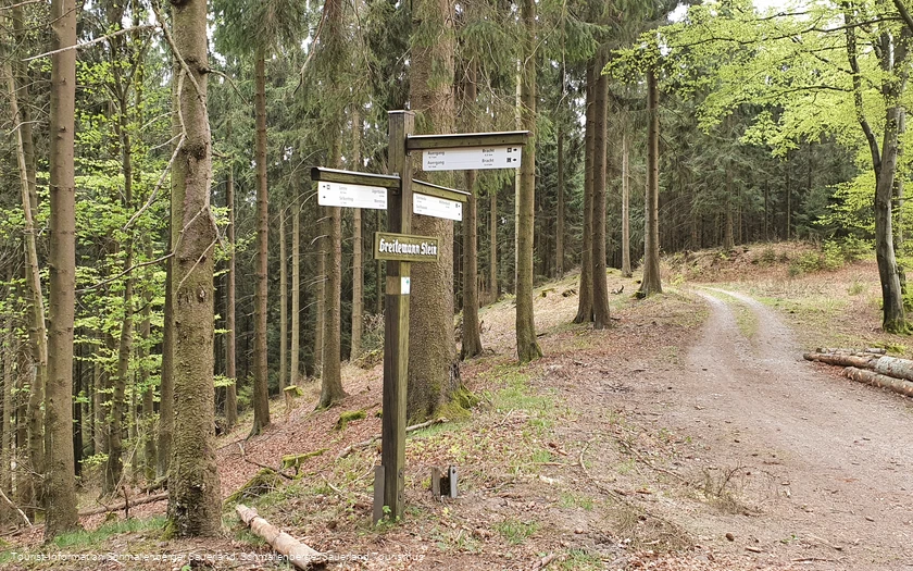 Weggabelung bei Greitemanns Stein