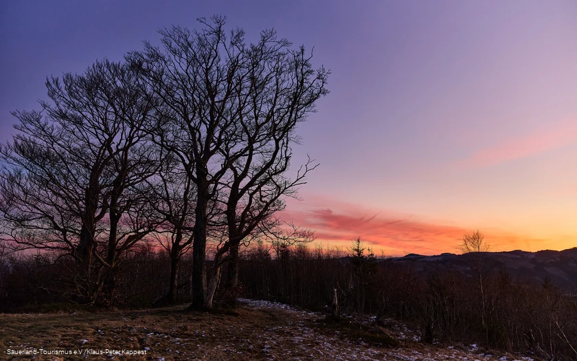 Sonnenaufgang an einem Wintermorgen über dem Olsberg