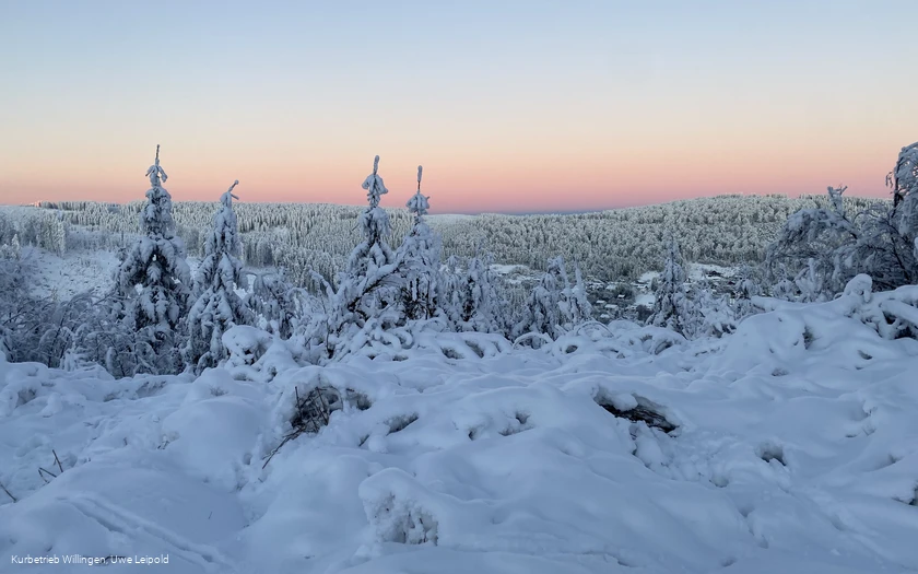 Winterlandschaft auf dem Ettelsberg bei Sonnenaufgang 