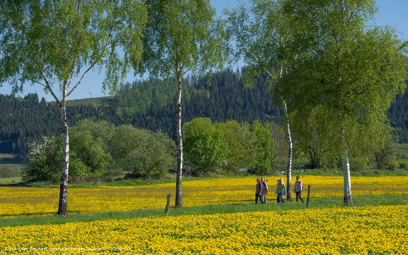 Wandern im Sorpetal