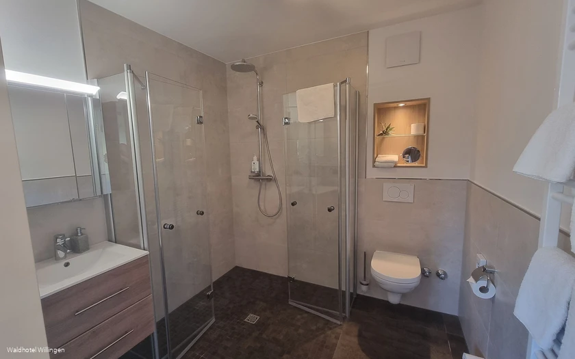Waldhotel Willingen Badezimmer Waldhotel Willingen Badezimmer