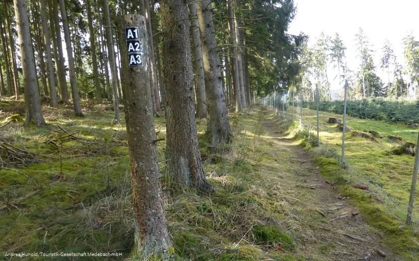Die A-Rundwege rund um den Weddel in Medebach