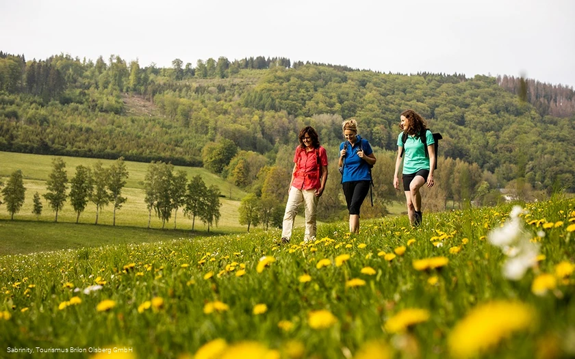 Wandern in Olsberg