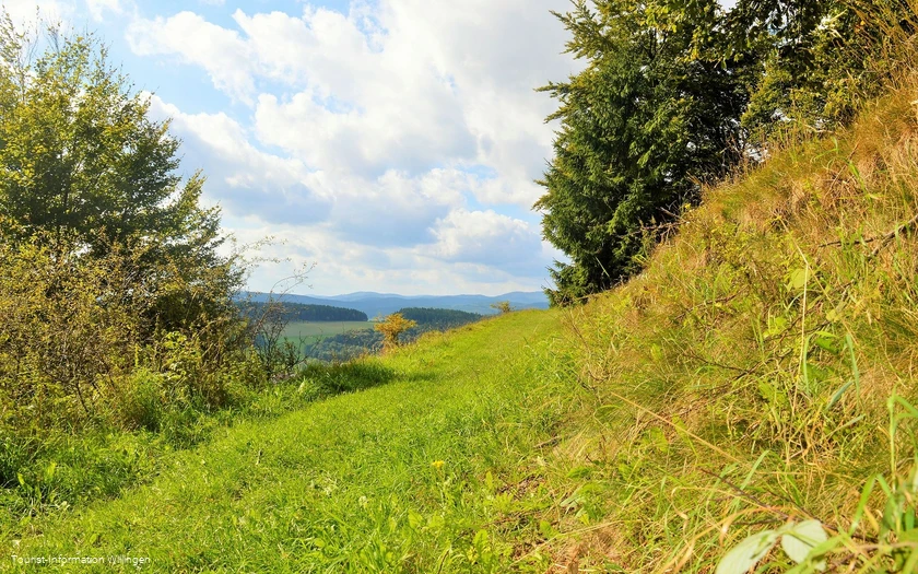 Tolle Ausblicke auf dem Geschichtspfad Welleringhausen