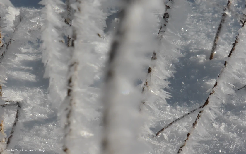 Winter in Medebach