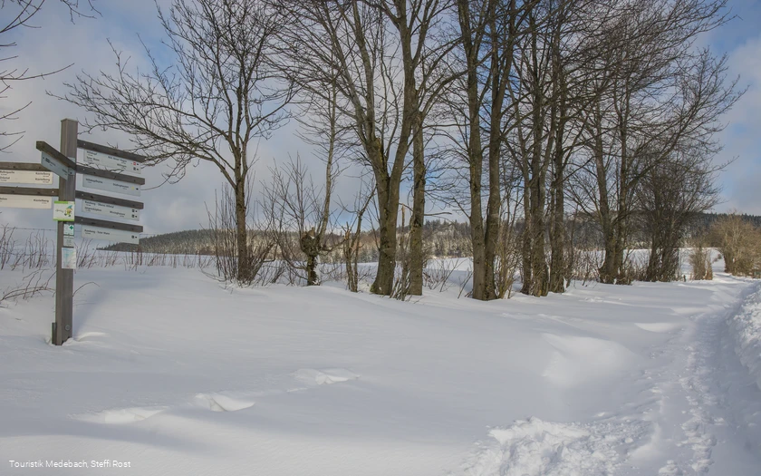 Winterwanderung in der Urlaubsregion Medebach