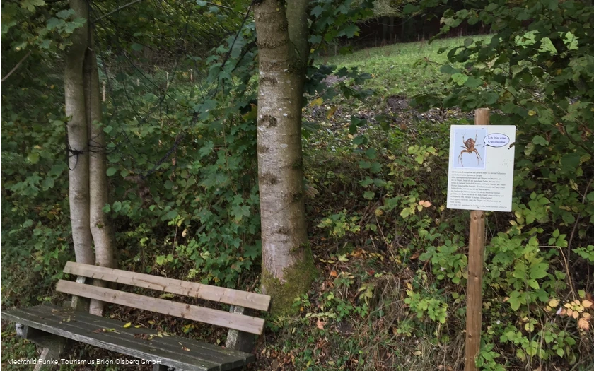 Ruhebank und Info-Tafel