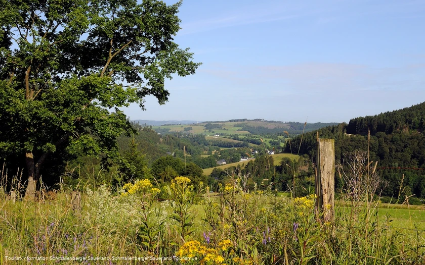 2445738
