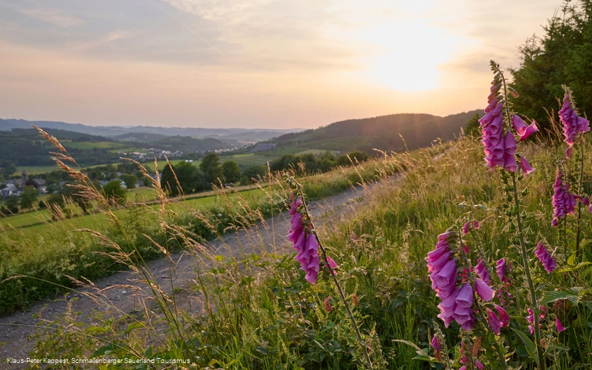 Weite Blick bei am Ohlberg bei Holthausen