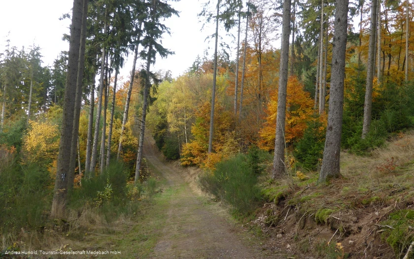 Der Weddel im Herbst