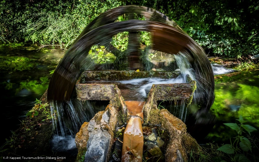 Wasserad Entenstall