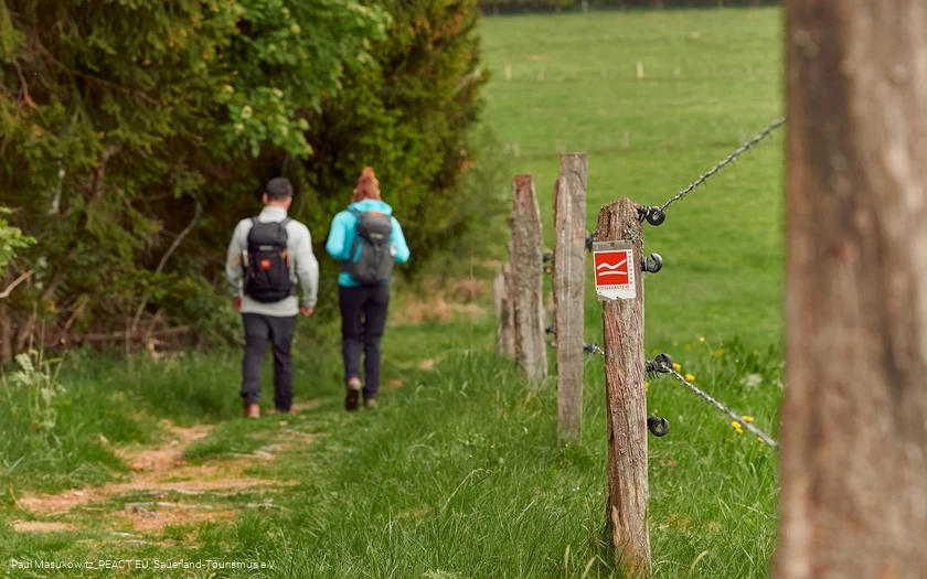 Pfad bei Küstelberg auf dem Rothaarsteig
