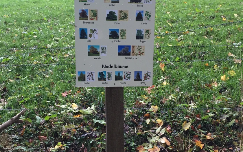 Infotafel