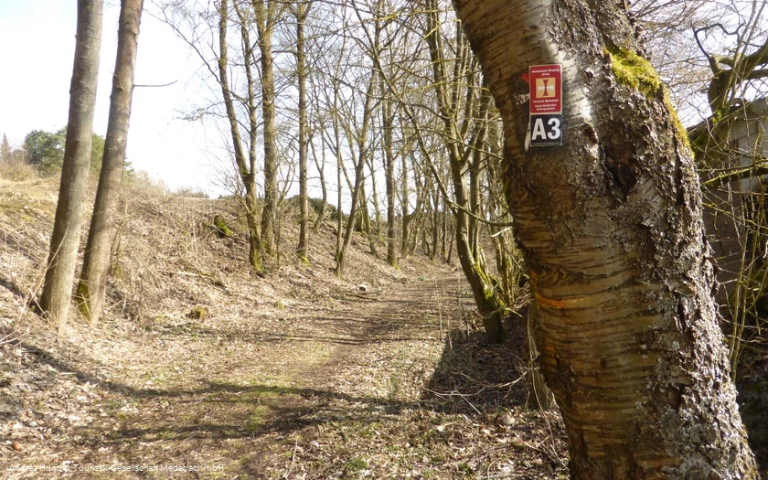 Weddelbergrundweg A3