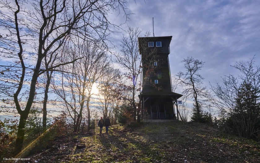Wallburgturm in Lennestadt-Hachen