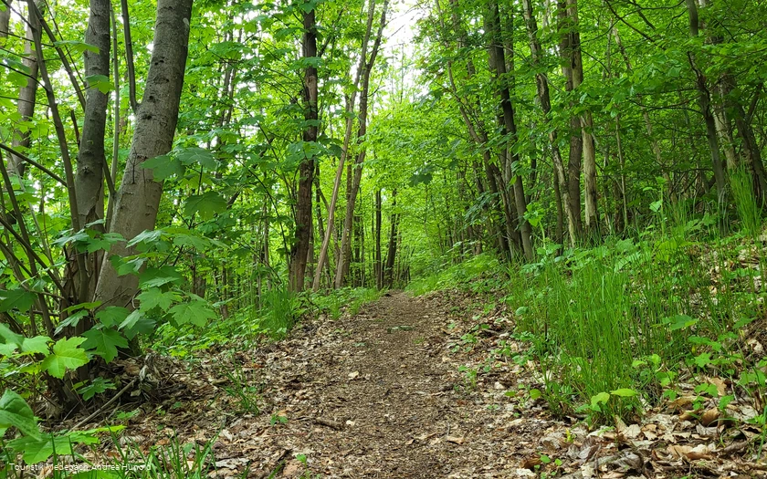 Über naturbelassene Pfade hinauf auf den Weddelberg