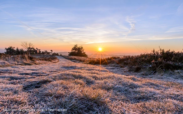 Sonnenaufgang auf dem Osterkopf in Willingen bei Frost