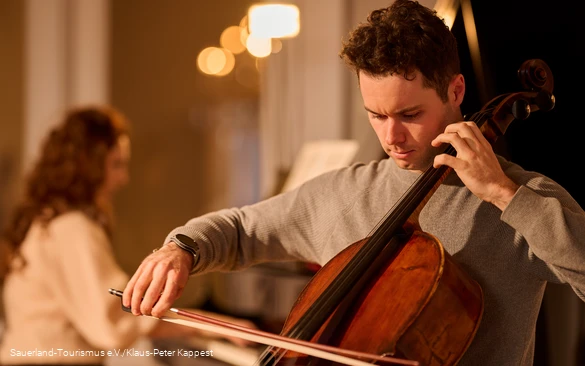 Cellospieler im Winterlicht