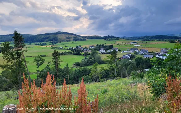 Blick auf Medebach-Oberschledorn