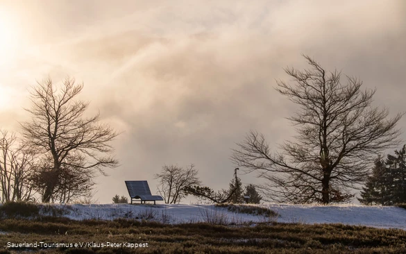 Wintermorgen auf dem Kahlen Asten mit einer Bank