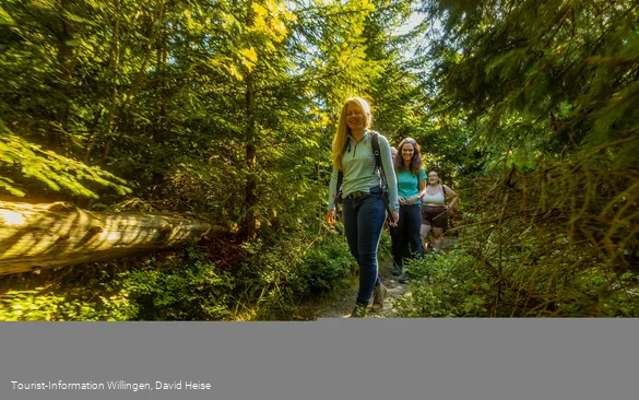 Wandergruppe im Wald