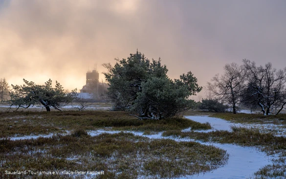 Der Astenturm im Polarnebel im Winter
