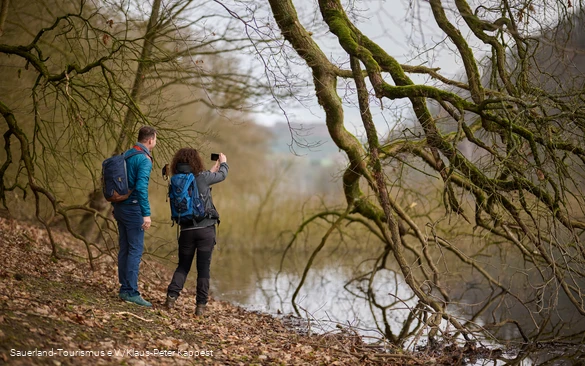 zwei Wanderer fotografieren einen Bieberbau am Diemelsee