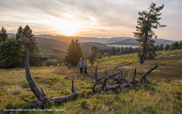 Zwei Wanderer auf der Hochheide Kahle Pön