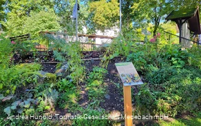 Kräutergarten am Vogelerlebnispfad Medebach-Dreislar