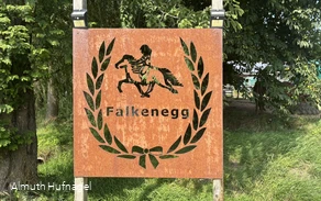 Falkenegg_Logo
