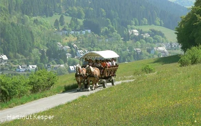 Kutschfart_Landschaft.jpg