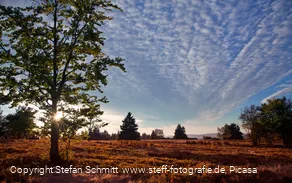ferienwelt-wintebrerg_2015_niedersfeld_hochheide-goldener-pfad-landschaft-heide_herbst-5