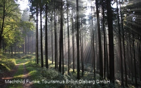 Wanderweg zum Langenberg