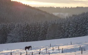 Sonnenuntergang