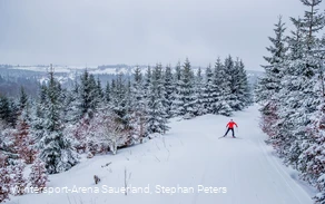 Langläuferin bei der Abfahrt im verschneiten Wald
