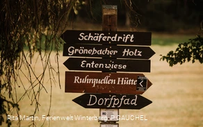 Grönebach