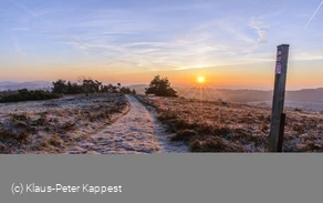 Raureif am Osterkopf bei Sonnenaufgang