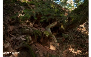 Seelenortwanderung Schinkenkeller Seelenortwanderung Schinkenkeller