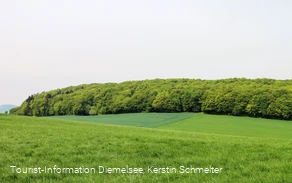 Wandern bei Benkhausen
