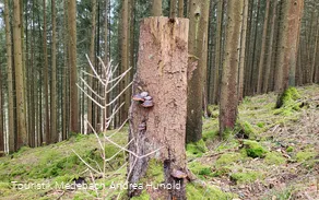 Wandern zu jeder Jahreszeit