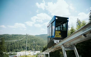 Muehlenkopfliner