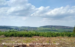Blick von Süden auf Altenbüren